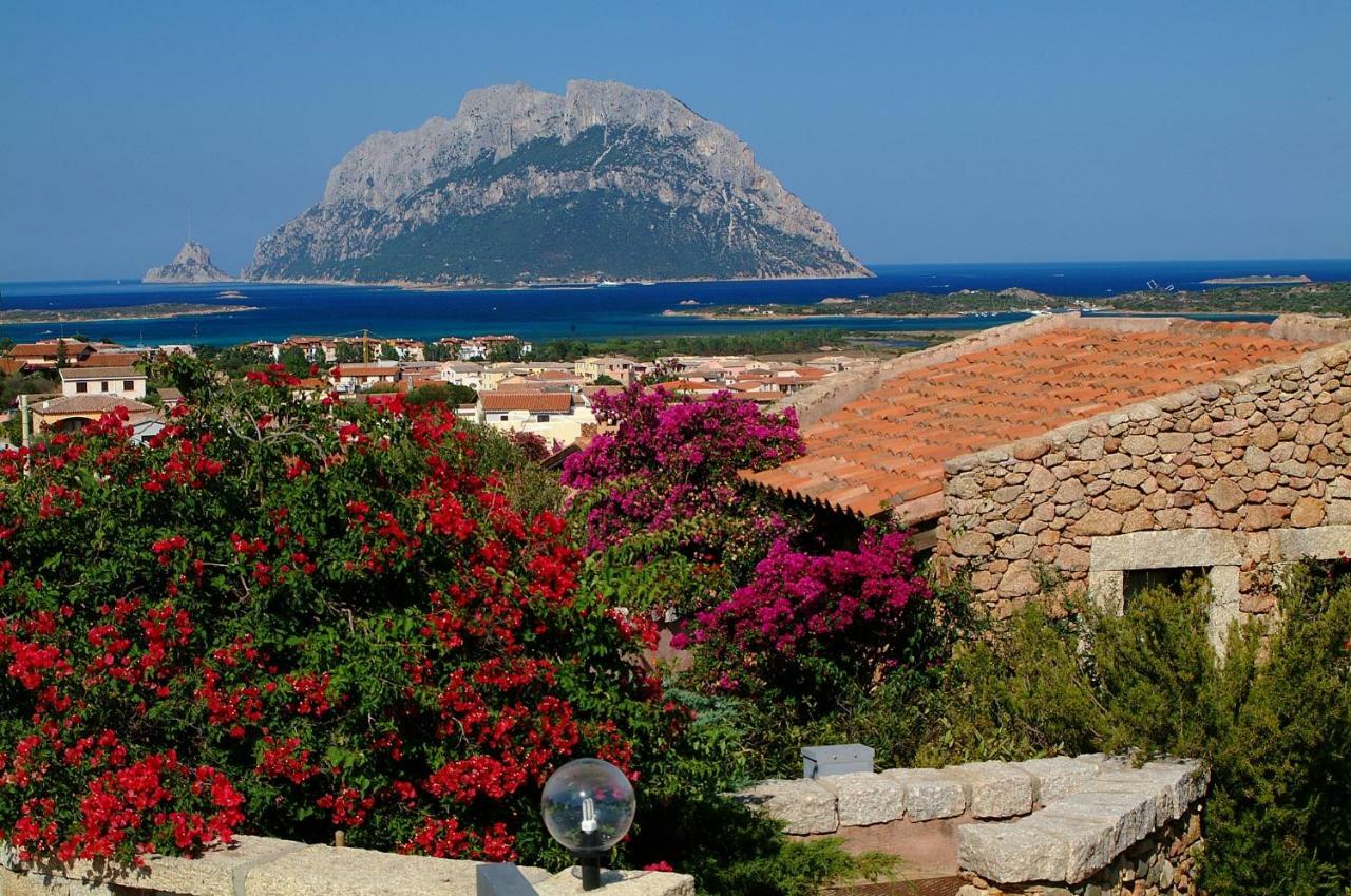 Residence L'Ea Di Lavru - Appartamenti Mono-Bilo-Trilocali Porto San Paolo  Eksteriør bilde
