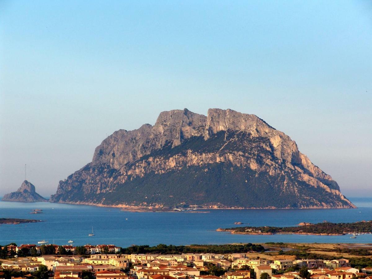 Residence L'Ea Di Lavru - Appartamenti Mono-Bilo-Trilocali Porto San Paolo  Eksteriør bilde